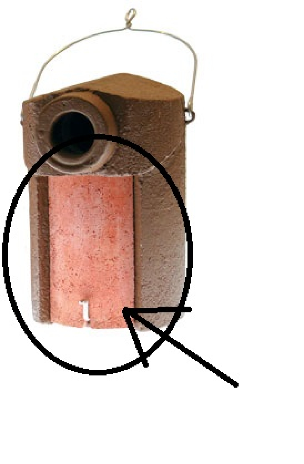 Ersatz-Vorderwand für Starenhöhle